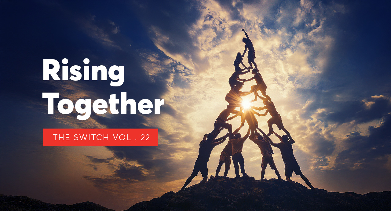 Volume 22 - The Switch Newsletter image